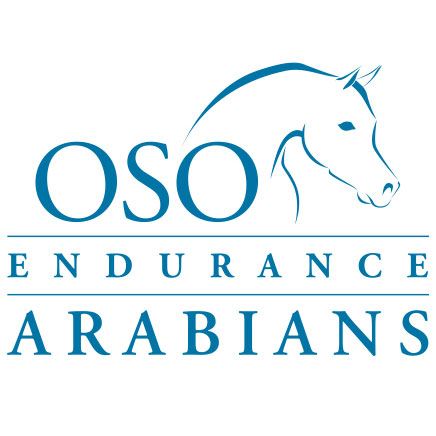 Oso Endurance Arabians